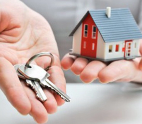 Thi Công Trọn Gói Hay Tự Xây Dựng? Đâu Là Lựa Chọn Tốt Nhất?